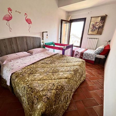 Pink Flamingo Accomodation Comacchio Εξωτερικό φωτογραφία